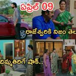 Intinti Ramayanam Today Episode: భరత్ ను తిట్టిన రాజేశ్వరి.. పల్లవి, రాజేశ్వరికి భానుమతి వార్నింగ్..అవని ఇంట్లో రచ్చ చేసిన రాజేశ్వరి..