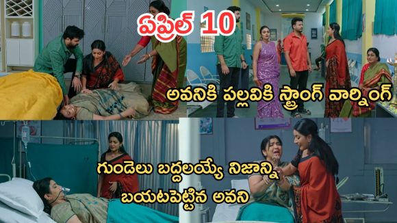 Intinti Ramayanam Today Episode: సూసైడ్ అటెంప్ట్ చేసిన రాజేశ్వరి.. రెచ్చిపోయిన పల్లవి.. రాజేశ్వరికి అవని నిజం చెప్తుందా..?