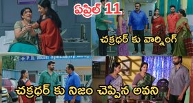 Intinti Ramayanam Today Episode: రాజేశ్వరికి నిజం చెప్పేసిన అవని.. చక్రధర్ కు పల్లవి వార్నింగ్..భరత్ మాటతో మీనాక్షి కన్నీళ్లు..