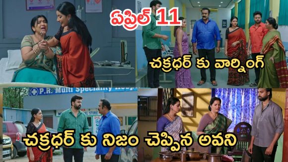 Intinti Ramayanam Today Episode: రాజేశ్వరికి నిజం చెప్పేసిన అవని.. చక్రధర్ కు పల్లవి వార్నింగ్..భరత్ మాటతో మీనాక్షి కన్నీళ్లు..