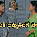 Intinti Ramayanam Today Episode: అవనిని క్షమించిన రాజేశ్వరి.. పల్లవికి షాక్.. ఇదేం ట్విస్ట్..