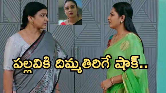 Intinti Ramayanam Today Episode: అవనిని క్షమించిన రాజేశ్వరి.. పల్లవికి షాక్.. ఇదేం ట్విస్ట్..