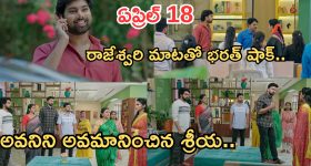 వేసవిలో మీ జుట్టు ఎండుగడ్డిలా మారిందా? ఈ 3 హోమ్ మేడ్ మాస్క్‌లతో మెరిసే జుట్టు మీ సొంతం!