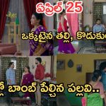 Intinti Ramayanam Today Episode: కొడుకుకు దగ్గరైన రాజేశ్వరి..ఇంట్లో బాంబ్ పేల్చిన పల్లవి.. అవనికి దిమ్మతిరిగే షాక్..