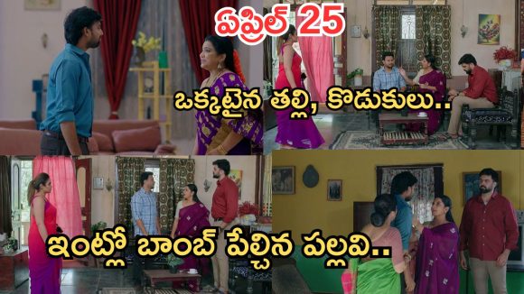 Intinti Ramayanam Today Episode: కొడుకుకు దగ్గరైన రాజేశ్వరి..ఇంట్లో బాంబ్ పేల్చిన పల్లవి.. అవనికి దిమ్మతిరిగే షాక్..
