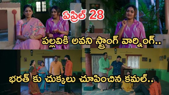 Intinti Ramayanam Today Episode: అవనిపై పల్లవి సెటైర్లు.. పల్లవి ఫుల్ హ్యాపీ.. తాగొచ్చిన భరత్.. కొట్టిన కమల్..