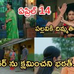 Intinti Ramayanam Today Episode: అవనికి వార్నింగ్ ఇచ్చిన పల్లవి.. కమల్ దెబ్బకు ఫ్యూజుల్ అవుట్.. చక్రధర్ కు షాక్…