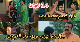 Intinti Ramayanam Today Episode: అవనికి వార్నింగ్ ఇచ్చిన పల్లవి.. కమల్ దెబ్బకు ఫ్యూజుల్ అవుట్.. చక్రధర్ కు షాక్...
