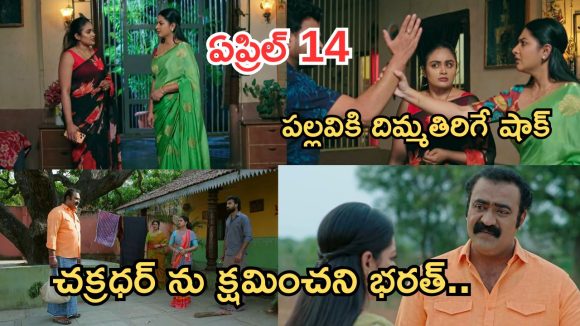 Intinti Ramayanam Today Episode: అవనికి వార్నింగ్ ఇచ్చిన పల్లవి.. కమల్ దెబ్బకు ఫ్యూజుల్ అవుట్.. చక్రధర్ కు షాక్…