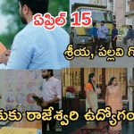 Intinti Ramayanam Today Episode: అవనికి షాకిచ్చిన చక్రధర్.. భరత్ కు రాజేశ్వరి ఉద్యోగం.. శ్రీయ, పల్లవి వార్..