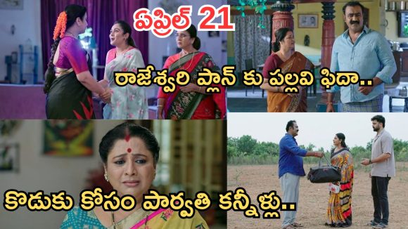 Intinti Ramayanam Today Episode: పల్లవికి నిజం చెప్పిన రాజేశ్వరి.. మీనాక్షికి భరత్ దూరం.. కొడుకు కోసం పార్వతి కన్నీళ్లు..