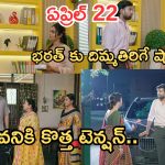 Intinti Ramayanam Today Episode: అక్షయ్ కు సపోర్ట్ గా చక్రధర్.. భరత్ కు షాకిచ్చిన పల్లవి.. రాజేశ్వరి సర్ప్రైజ్ గిఫ్ట్..