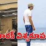 తారక్ విశ్వరూపం.. 3000 ఏళ్ల నాటి యుద్ధ విద్యతో శత్రుసంహారం! బాక్సాఫీస్ వద్ద ప్రశాంత్ నీల్ మారణహోమం ఖాయమా?