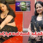కరాటే క్వీన్ టు ఐటమ్ బాంబ్.. తెలుగు వెండితెరపై ఆమెదో అరుదైన రికార్డ్!