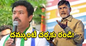 కొలంబియా హిప్పోలకు 'వంతారా' ఆపద్బాంధవుడు.. అనంత్ అంబానీ సాహసోపేత నిర్ణయం!