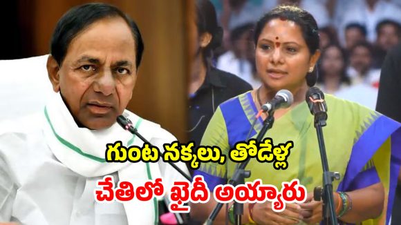 Kavitha New Party: బీఆర్ఎస్ కోసం రక్తం చిందించా.. కేసీఆర్ మనిషి కాదు, మర మనిషి.. విరుచుకుపడ్డ కవిత!