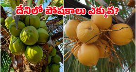 ఉద్యమంలో 369 మందిని కాల్చి చంపింది కాంగ్రెస్ కాదా?.. కిషన్ రెడ్డి సంచలన విమర్శలు, కాంగ్రెస్ శ్రేణులు ఫైర్