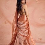 Krithi Shetty : చీరలో వయ్యారాలు వలకబోస్తున్న కృతి.. చూపుతిప్పుకోలేరు…