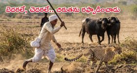 తారక్ విశ్వరూపం.. 3000 ఏళ్ల నాటి యుద్ధ విద్యతో శత్రుసంహారం! బాక్సాఫీస్ వద్ద ప్రశాంత్ నీల్ మారణహోమం ఖాయమా?