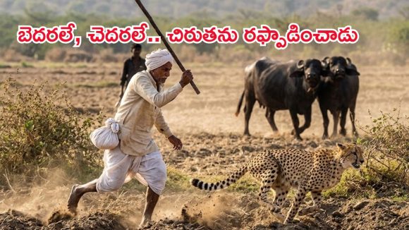 కర్రతో చిరుతను పరుగులు పెట్టించిన రైతు.. దెబ్బకి పరుగో పరుగు!