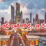 ఒకప్పుడు పేద దేశం.. ఇప్పుడు నల్ల బంగారు గని,  ఆ రిచెస్ట్ కంట్రీ ఏదో తెలుసా?