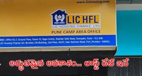ఆపిల్స్ కొంటున్నారా? రుచికరమైన, తాజా ఆపిల్స్‌ను గుర్తించడానికి బెస్ట్ టిప్స్ ఇవే !