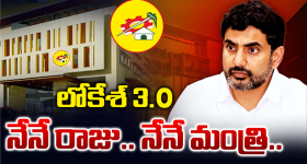 నేనే రాజు.. నేనే మంత్రి అంటే కుదరదు.. టీడీపీ నేతలకు లోకేశ్ స్ట్రాంగ్ వార్నింగ్!