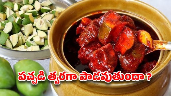మీ ఇంటి ‘ఆవకాయ’ ఏడాది దాటినా పాడవకుండా ఉండాలా? ఈ ‘సీక్రెట్’ చిట్కాలు మీ కోసమే!