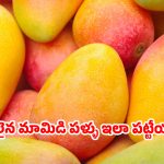 పర్ఫెక్ట్ మామిడి పండును ఎలా ఎంచుకోవాలో తెలుసా? అసలైన ట్రిక్స్ ఇవే!