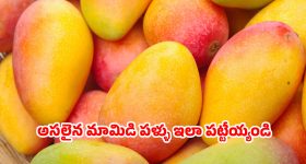 బలిదానాల కోసం కాదు తెలంగాణ సాధించుకున్నది.. ఆర్టీసీ కార్మికులకు విజయశాంతి పిలుపు
