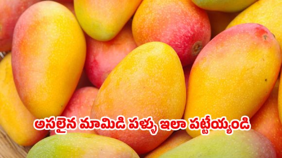 పర్ఫెక్ట్ మామిడి పండును ఎలా ఎంచుకోవాలో తెలుసా? అసలైన ట్రిక్స్ ఇవే!