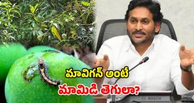 అమరావతికి పార్లమెంటు ఆమోదం.. పునర్వ్యవస్థీకరణ చట్ట సవరణ బిల్లుకు గ్రీన్ సిగ్నల్..