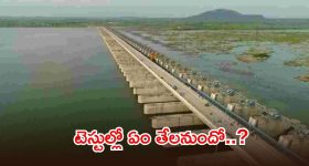 అమెరికాలో అంతర్జాతీయ ఆయుధాల కుట్ర.. ఇరాన్‌తో డీల్స్ చేస్తున్న షమీమ్ మాఫీ అరెస్ట్!