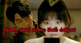 డ్రగ్ మాఫియాతో పెట్టుకునే లేడీ పోలీస్... ముగింపు వరకు ఊపిరి బిగబట్టించేలా సాగే మిస్టరీ