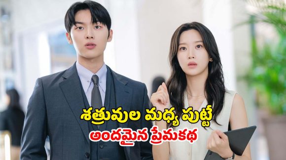 శత్రువులే ప్రేమికులయ్యే విచిత్రమైన రొమాంటిక్ కామెడీ డ్రామా… ఓటీటీలో ఆకట్టుకుంటున్న సిరీస్