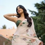 Nabha Natesh: చీర కట్టులో గ్లామర్ వలకబోసిన నభా.. ఫోటోలు వైరల్!