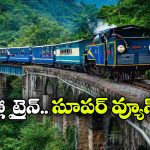 గంటకు జస్ట్ 10 కి.మీ వేగం.. దేశంలో స్లోయెస్ట్ ట్రైన్ గురించి మీకు తెలుసా?