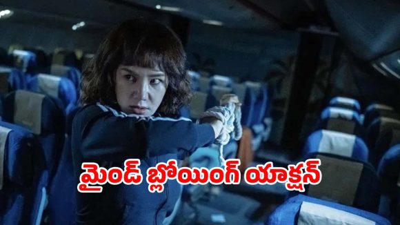 హైజాకర్లకి సీన్ సితారే.. ఆ ఇల్లాలి దెబ్బకి ఉగ్రవాదుల గుండెలు హడల్