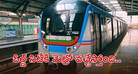 ఓల్డ్ సిటీ మెట్రోకు గ్రీన్ సిగ్నల్.. 84 భారీ వృక్షాలను రూ.15.64 లక్షలతో ట్రాన్స్‌లొకేషన్