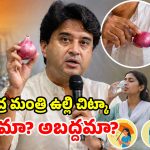 Onion Heatstroke: జేబులో ఉల్లిగడ్డ ఉంటే.. వడదెబ్బ తగలదట.. కేంద్ర మంత్రి వ్యాఖ్యలతో రచ్చ రచ్చ!