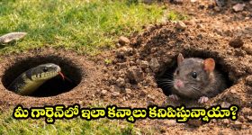 అల్లూరి  జిల్లాలో విషాదం.. ఫోటోల సరదా ముగ్గురి ప్రాణాలు తీసింది!