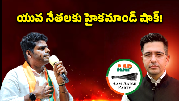 మేము ఏం తప్పు చేశాం.. అన్నామలై, రాఘవ్ చద్దా ని సైడ్ చేయడానికి కారణం ఇదేనా?