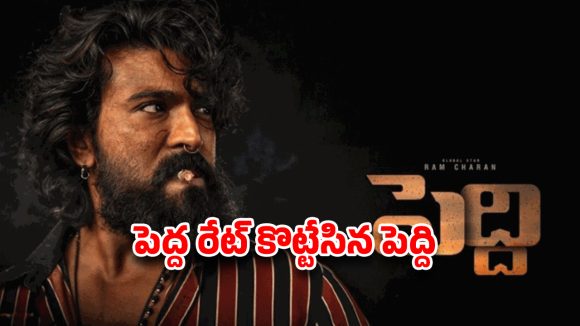పెద్ది ‘పహిల్వాన్’ దెబ్బకు రికార్డులు గల్లంతు.. రిలీజ్‌కు ముందే అన్ని కోట్ల ఓటీటీ డీలా ? చరణ్ రేంజ్ వేరబ్బా!