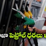 పెట్రోల్, డీజిల్ ధరల్లో నో ఛేంజెస్, ఇవాళ ప్రధాన నగరాల్లో రేట్లు ఎలా ఉన్నాయంటే?