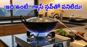 ఇదెక్కడి వింత.. గ్యాస్ లేకున్నా బ్లూ కలర్ మంట! ఈ ప్లాస్మా పొయ్యి ధర, కథా కమామిషు మీ కోసం..