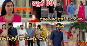 Podarillu Today Episode : చక్రీని తిట్టిన మహా.. గాయత్రి పెళ్లికి మహా ప్లాన్..మాధవ్ కు పెళ్లి.. చివరిలో ట్విస్ట్..