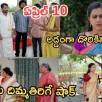 Podarillu Today Episode : ఇంట్లోంచి పారిపోతున్న గాయత్రి.. తాయారుకు అడ్డంగా దొరికిన గాయత్రి.. కిడ్నాప్ ప్లాన్ చేసిన మహా..