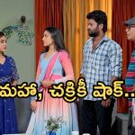 Podarillu Today Episode : కేశవకు షాకిచ్చిన శైలు.. పెద్ది కోసం మహా కొత్త ప్లాన్.. పెద్ది ఫ్యామిలికి దూరమవుతాడా..?