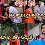 Podarillu Today Episode : మహాకు చక్రీ సర్ప్రైజ్.. చక్రీని చూసి కుళ్లుకున్న మహా.. ఇదేం ట్విస్ట్ రా బాబు..