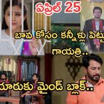 Podarillu Today Episode : మహా, చక్రీ ప్రేమలో పడతారా..? కన్నీళ్లు పెట్టుకున్న మాధవ్.. గాయత్రి, మాధవ్ ఒక్కటవుతారా..?